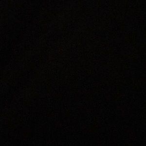 Meet your Posher, Gavin